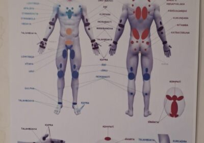 26b4a394-ec78-497d-9bf6-6a8611f531fb