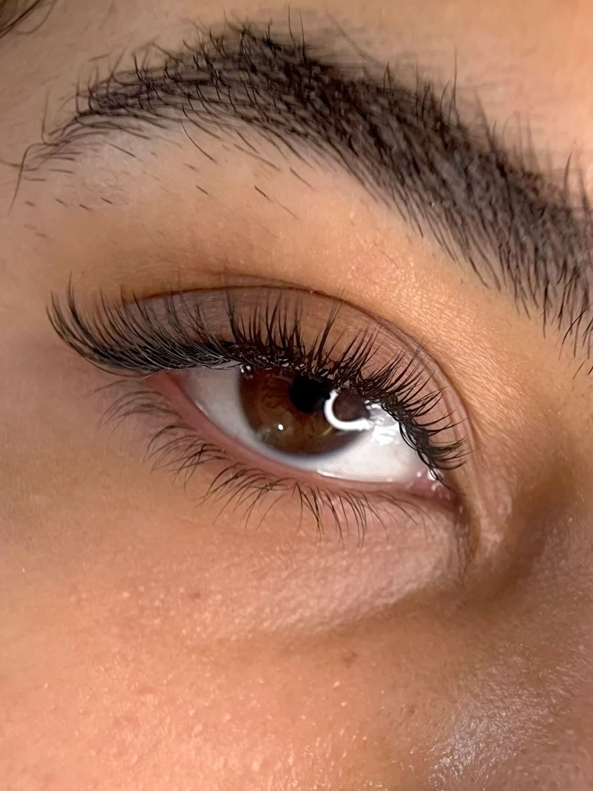 Nadogradnja trepavica